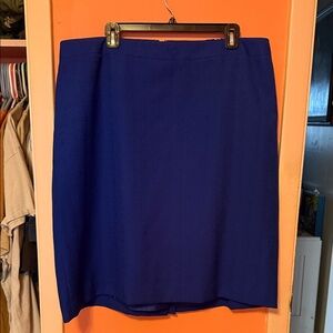 Elegant Blue Women's Skirt